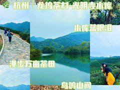 -龙坞茶村