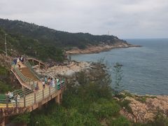 -广东惠东海龟国家级自然保护区