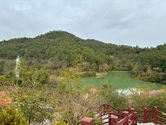 -广州白江湖森林公园