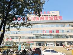 -蒲锦源烩饼(蒲城店)