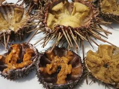 -海胆小馆(东北水饺·春柳店)