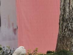 -成都华侨城欢乐里