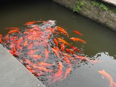 -浙江省博物馆(孤山馆区)