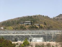 -东方熊牧场