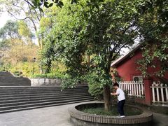 -南山植物园