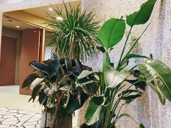 -椒爱水煮鱼川菜(中街大悦城店)