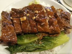 -鹅掂·大岭山烧鹅