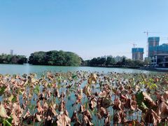 -时间仓(月湖公园店)