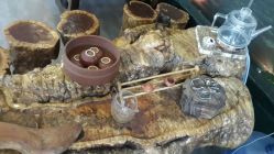 -脉道美容养生会所