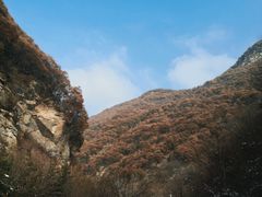 -少华山国家森林公园