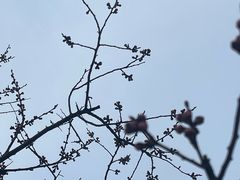 -南开大学(津南校区)