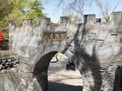 -大槐树寻根祭祖园