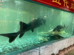 -年辉渔村·非遗传承餐厅(新丰江店)