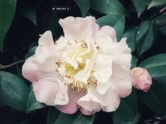 -云溪植物园