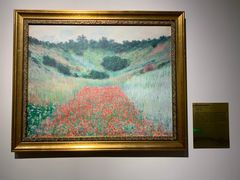 -印象莫奈时光映迹艺术展