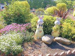 -上海共青森林公园