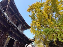 -长春观