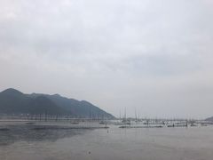 -北岐滩涂