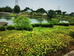 -紫颐香薰山谷景区