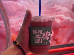 -南澳岛打卡果汁冰公司