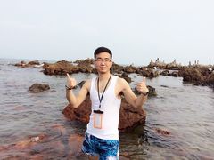 -西涌国际滨海旅游区