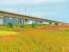 -光明小镇欢乐田园
