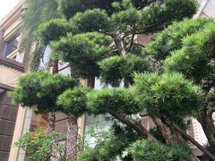 -惠州康帝国际酒店