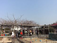 -小鱼草莓采摘园农家乐·小鱼餐厅