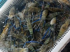 -霞涌市场海鲜摆卖区