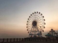 -碧海金沙