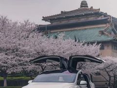 -TESLA 特斯拉(上海太古汇体验店)