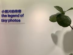 -天真蓝照相馆(杭州滨江宝龙店)