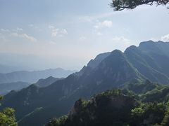 -王顺山国家森林公园