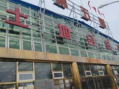 -第五季龙水凤港生态露营农场