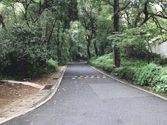 -杭州西湖风景名胜区-满觉陇四眼井