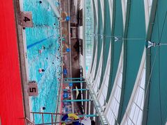 -江湾体育中心游泳馆