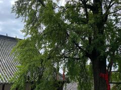 -金堂县云顶石城风景区