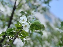 -曹家小菜(胜太路店)