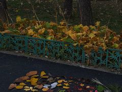 -国家植物园南园