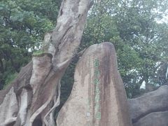 -宝岩生态观光园