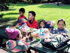 -怀托摩萤火虫洞