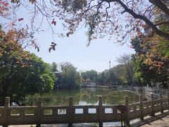 -荔湾湖公园