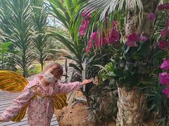 -石家庄市植物园
