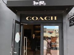 -COACH蔻驰(赛特奥特莱斯店)