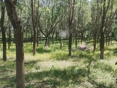 -东郊湿地公园