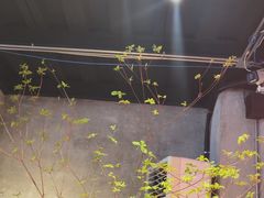 -邊渡咖啡