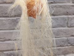 -食神鱼头佛跳墙(百子湾旗舰店)