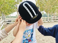 -北京群众马术培训基地