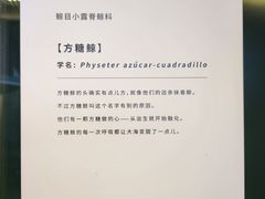 -思南书局(复兴中路店)