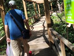-大岭沟猕猴桃谷风景区